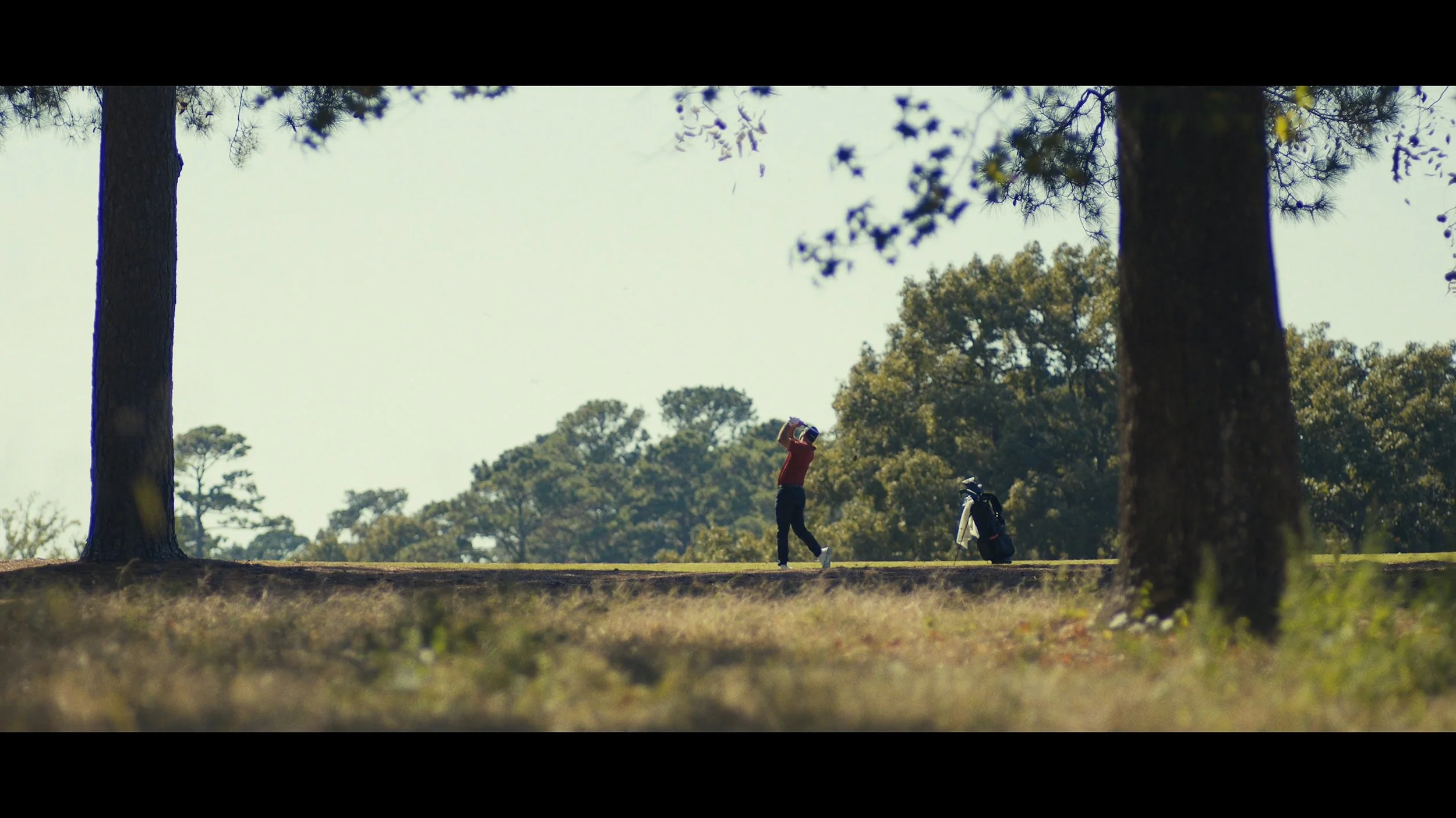 Still 2026-03-16 124319_1.1.32.jpg