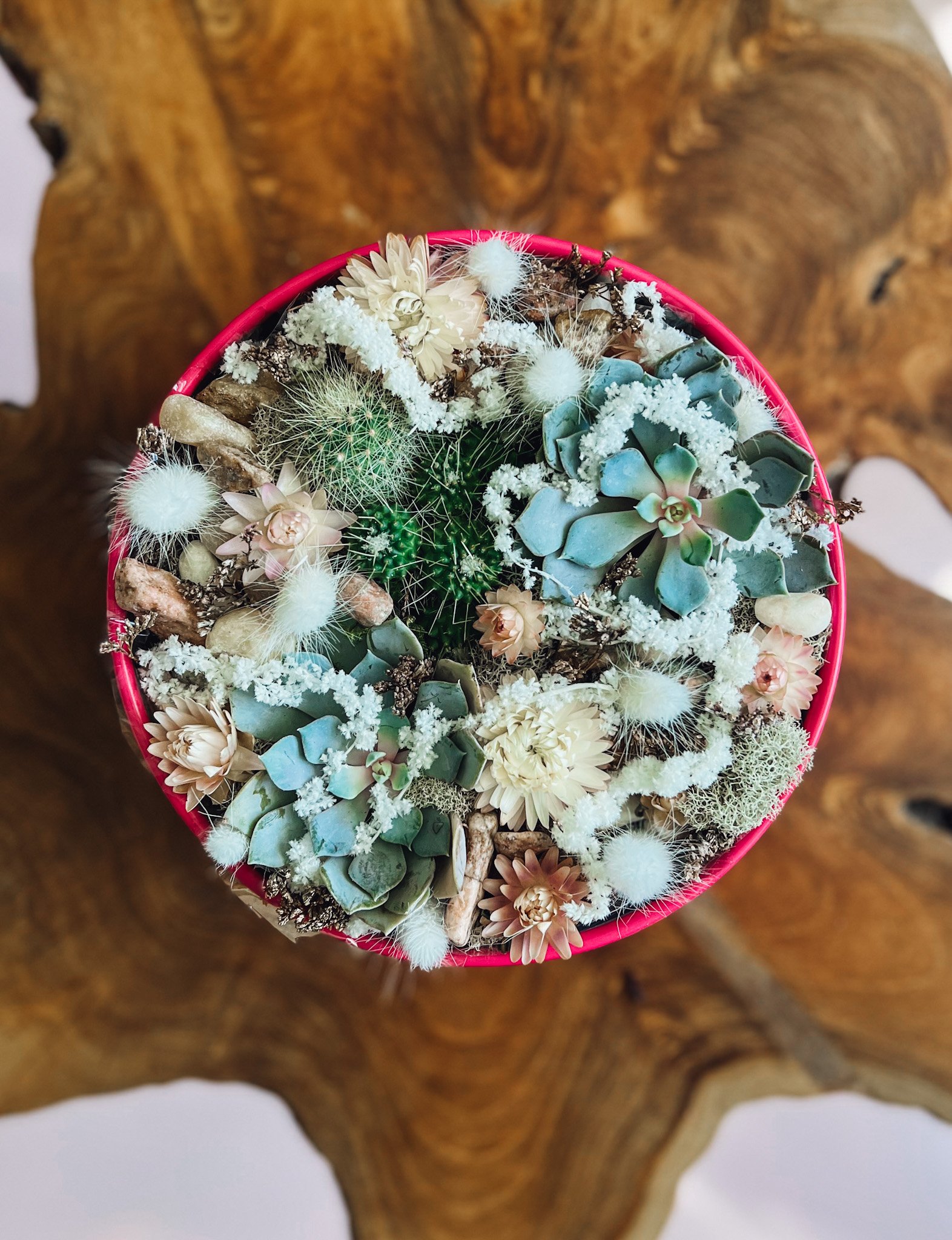 Life  'Succs' Without You Bloom Box