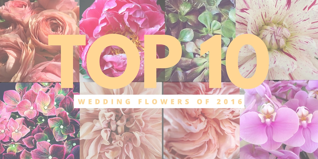 Edmonton Wedding Florists
