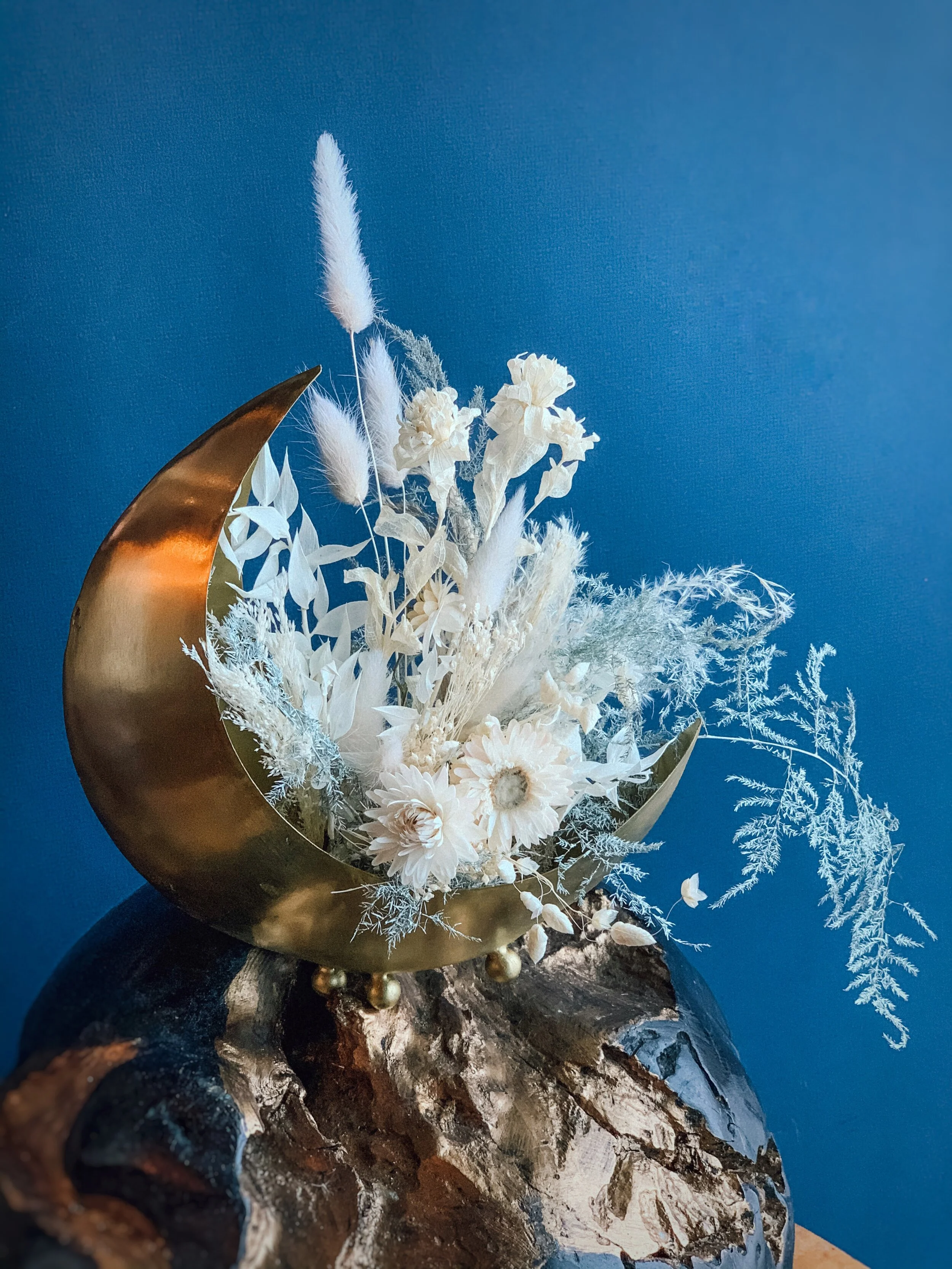 Photo 2020-11-17, 12 43 32 PM.jpg