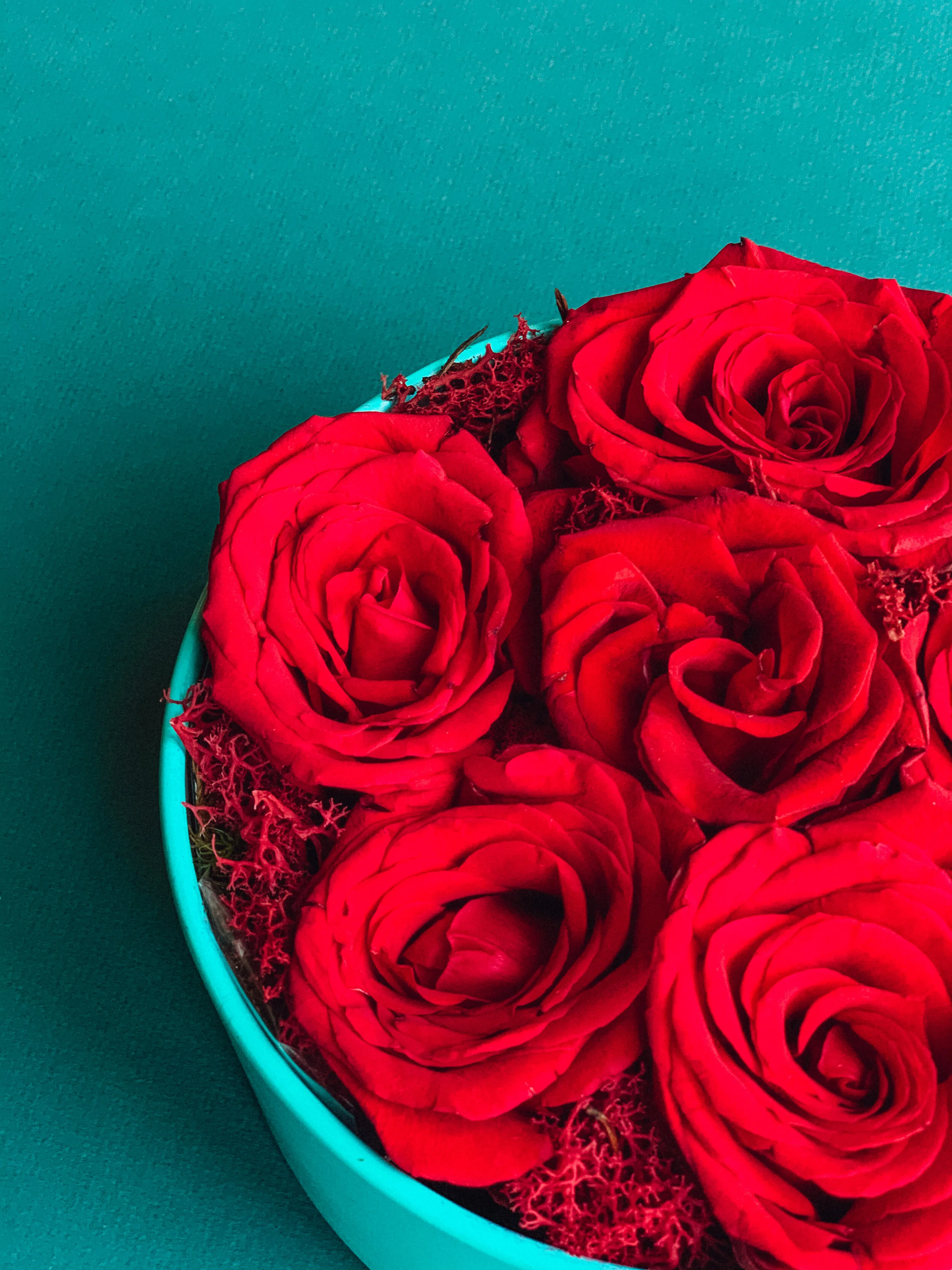 Red rose arrangement in a teal hat box for Valentine’s Day, available for delivery in Edmonton, St. Albert and surrounding areas.