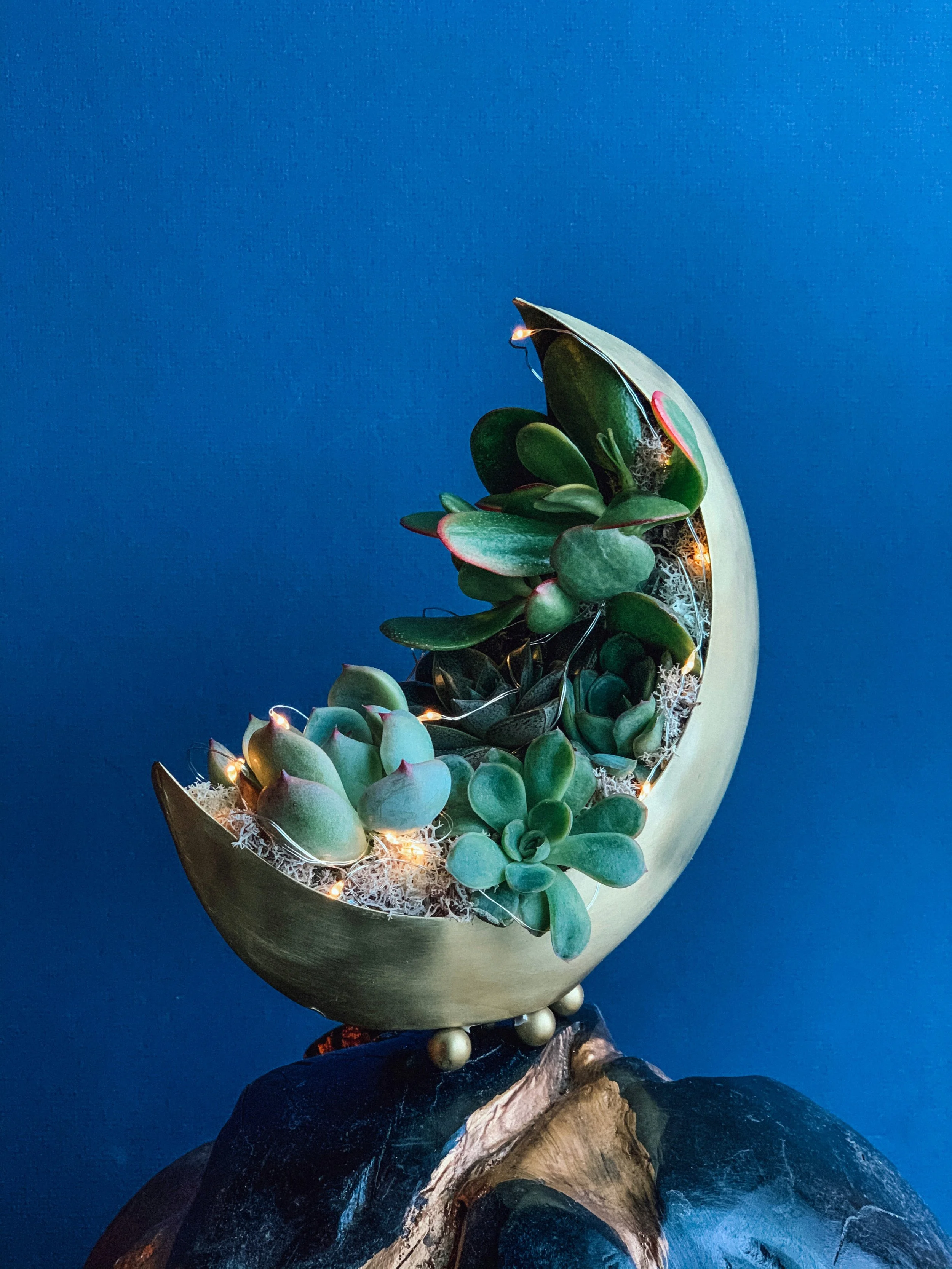 Photo 2020-11-17, 12 29 48 PM.jpg