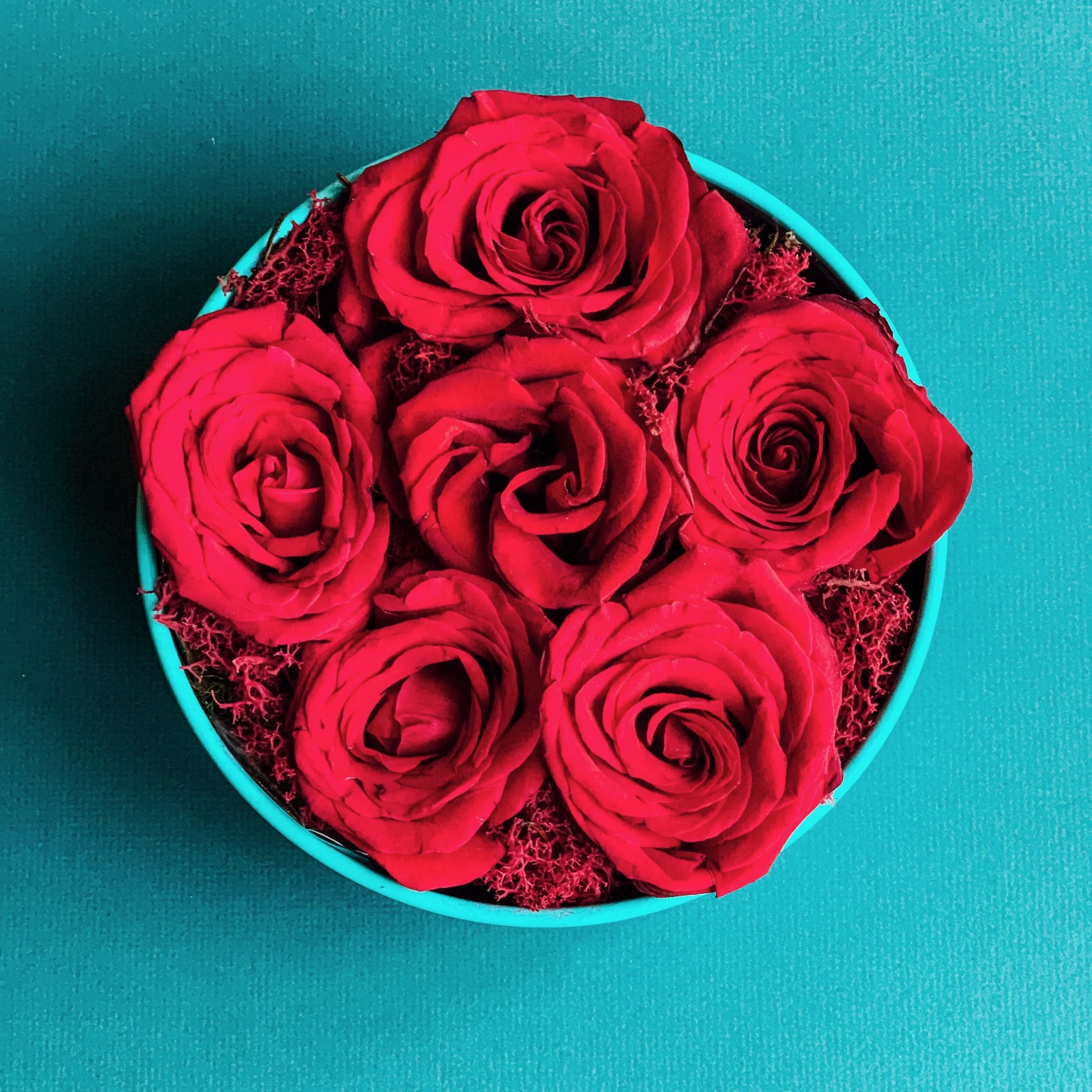 Red rose arrangement in a teal hat box for Valentine’s Day, available for delivery in Edmonton, St. Albert and surrounding areas.