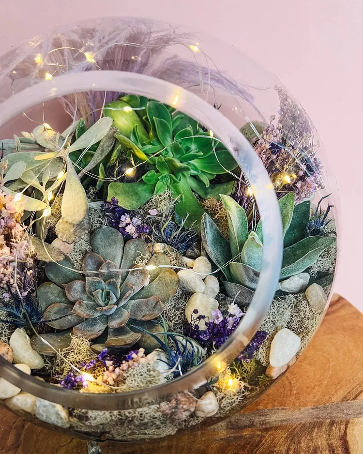 DIY: Hangend tuintje met luchtplantjes - Alles om van je huis je Thuis