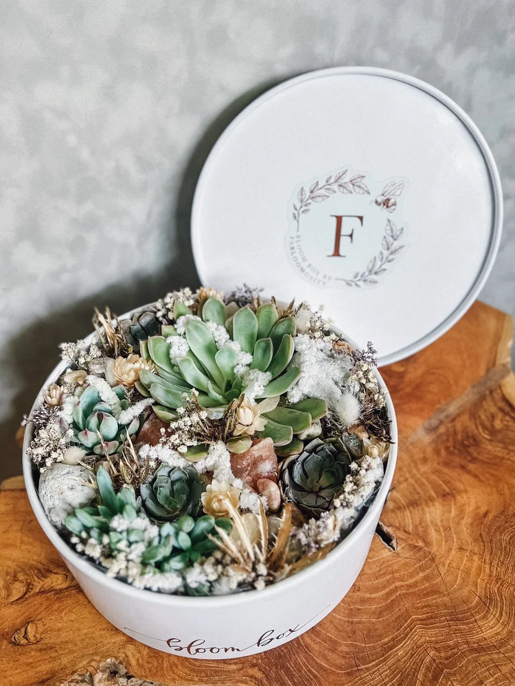 Life Succs Without You Bloom Box | Succulent Delivery Edmonton & St. Albert   Fabloomosity Floral Atelier