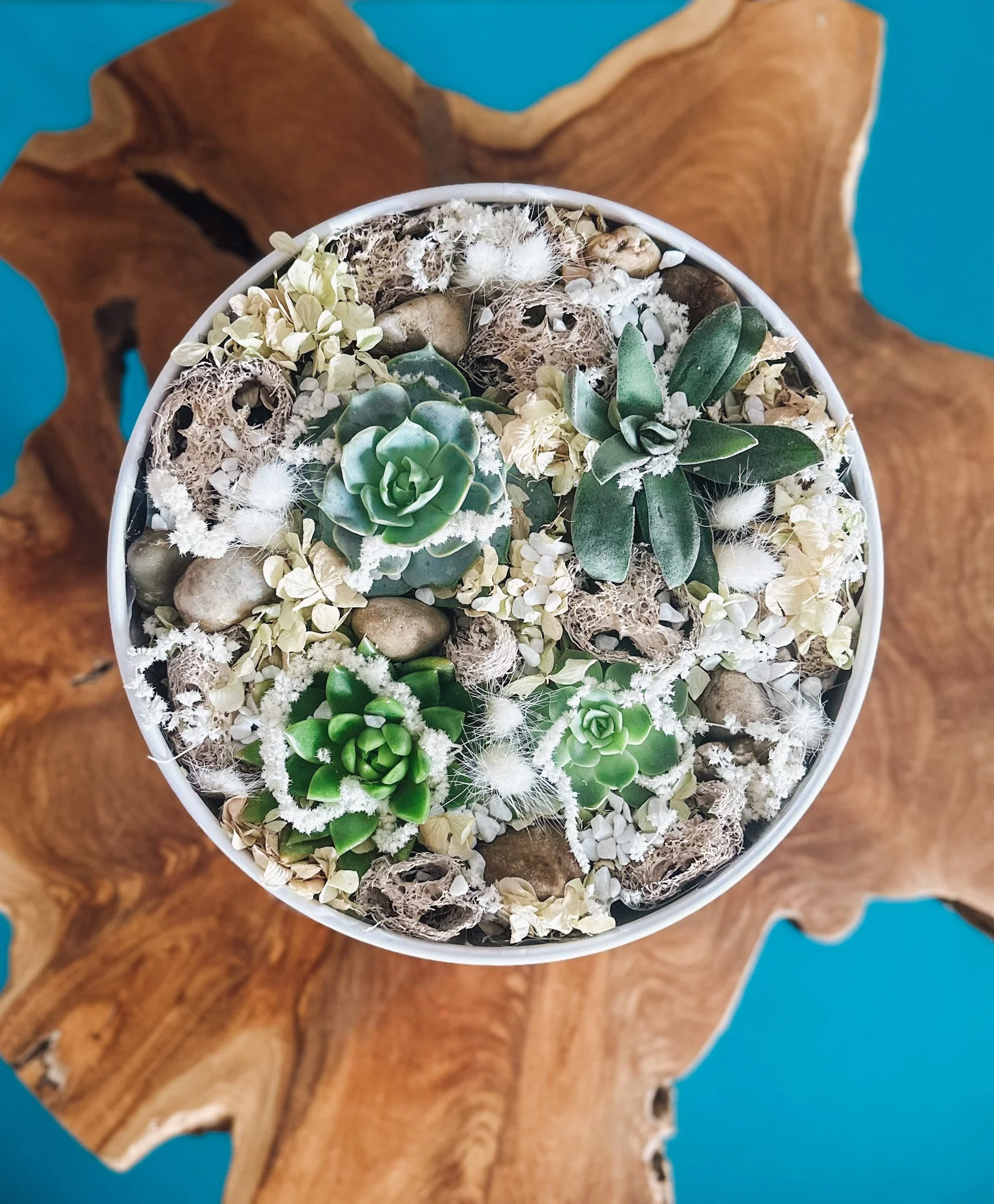 Life  'Succs' Without You Bloom Box