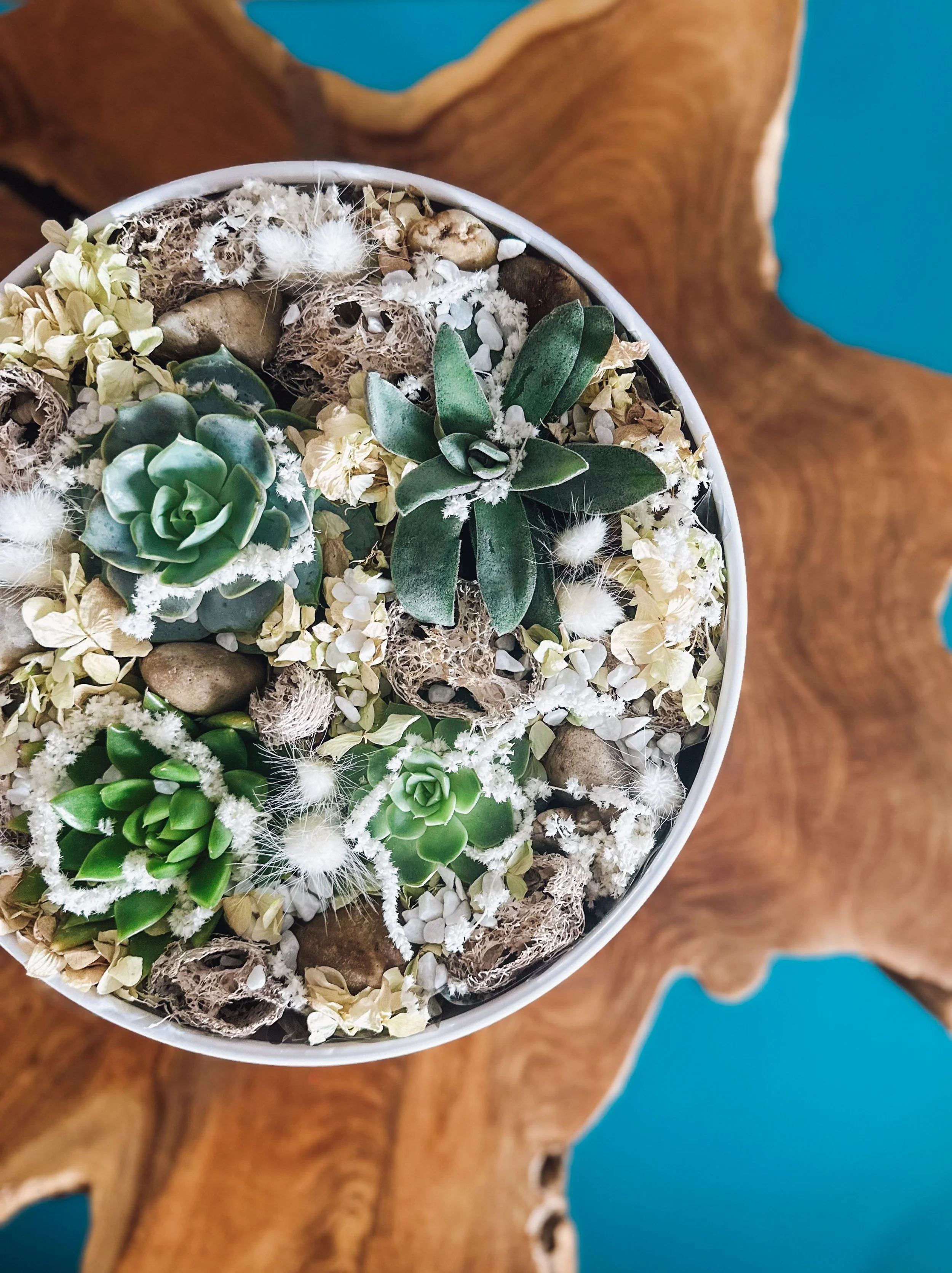 Life  'Succs' Without You Bloom Box