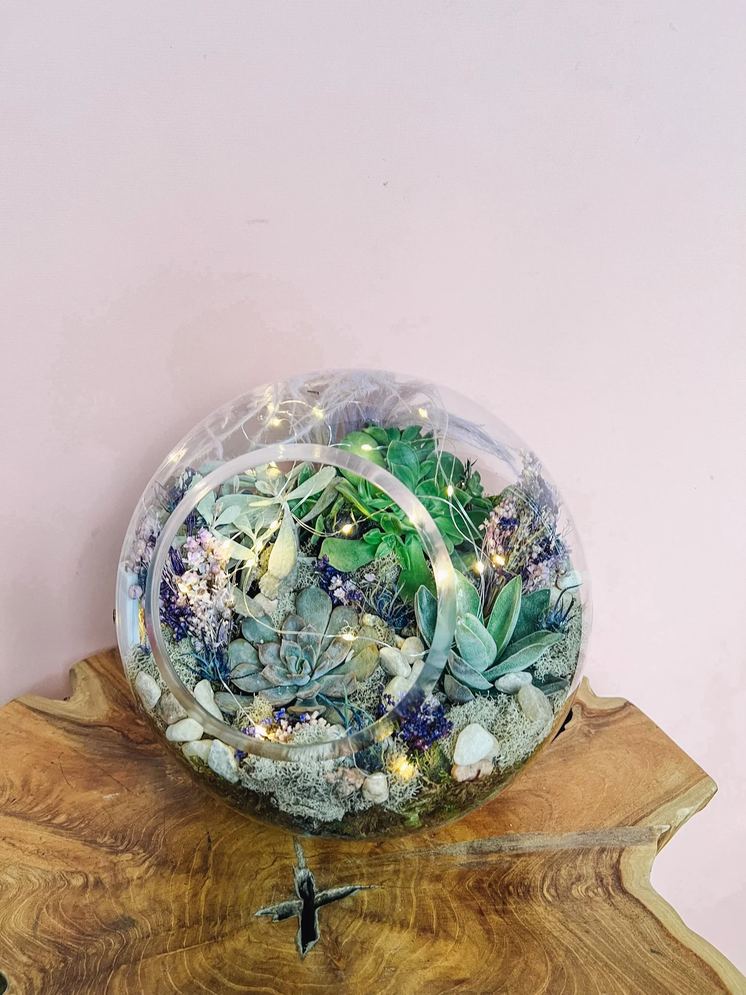 Terrarium