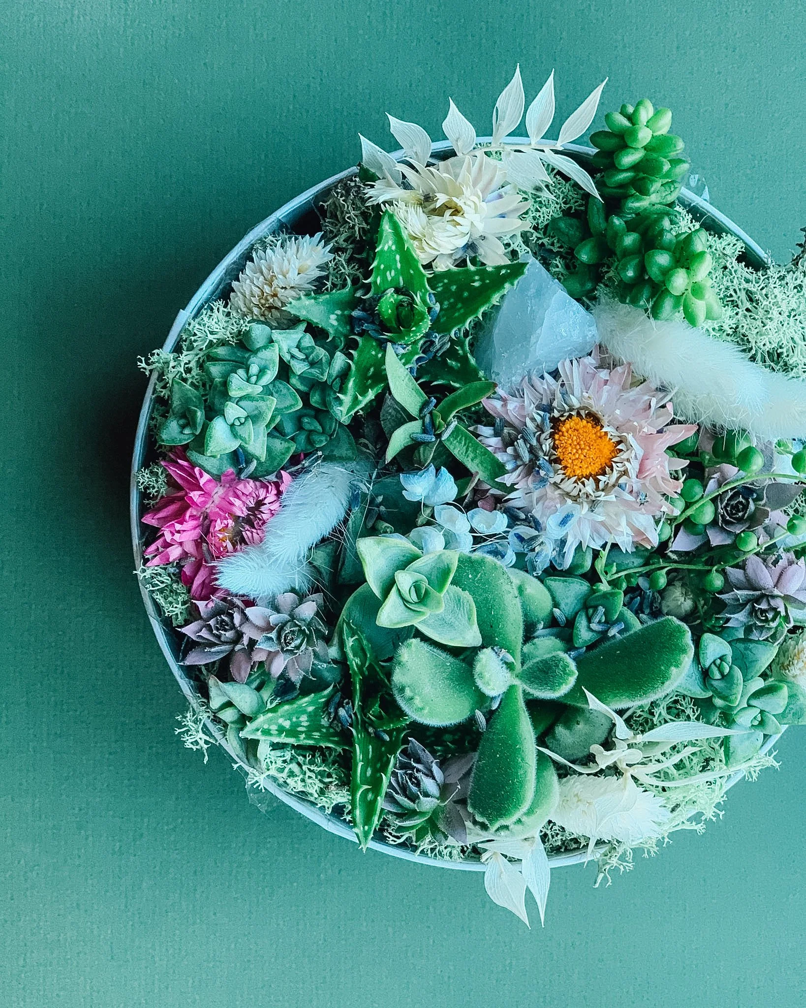 Life  'Succs' Without You Bloom Box