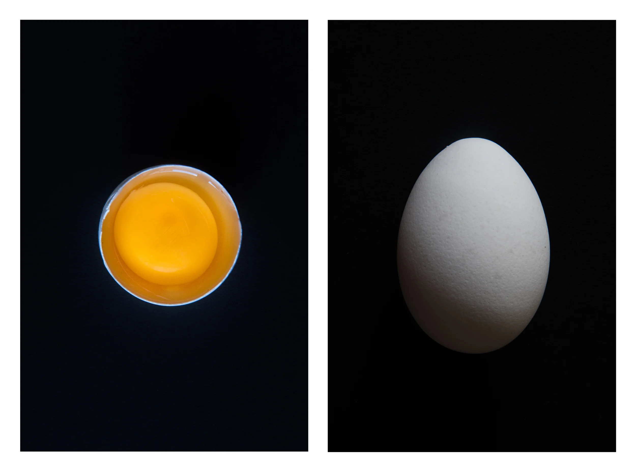 egg.jpg