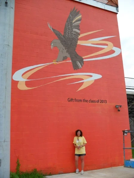 Hawk Mural