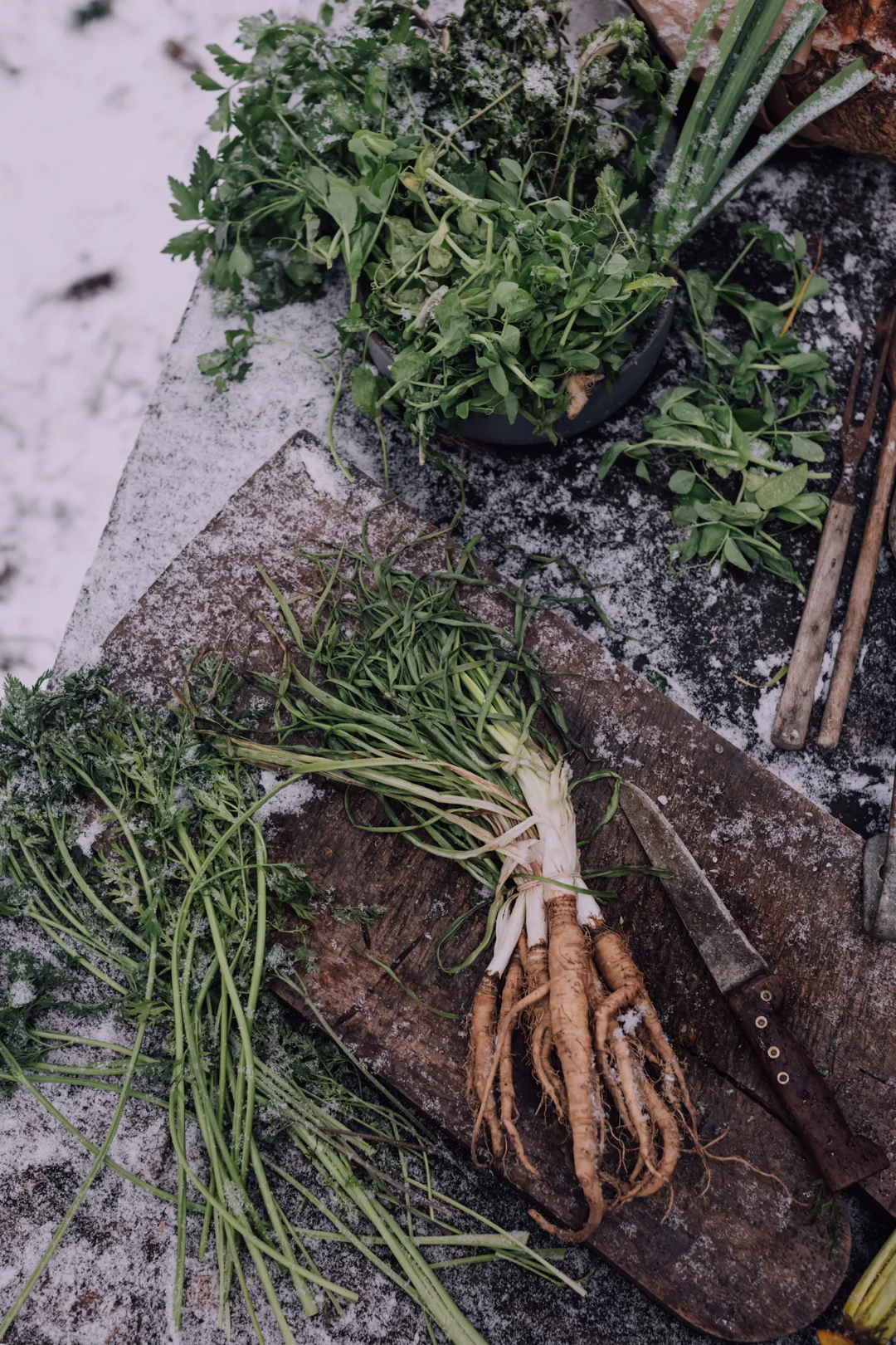 Photography, Recipes and Creative Direction by ChristiannKoepke.com-28.jpg