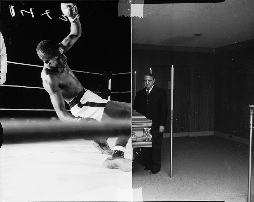 09_Boxer.jpg