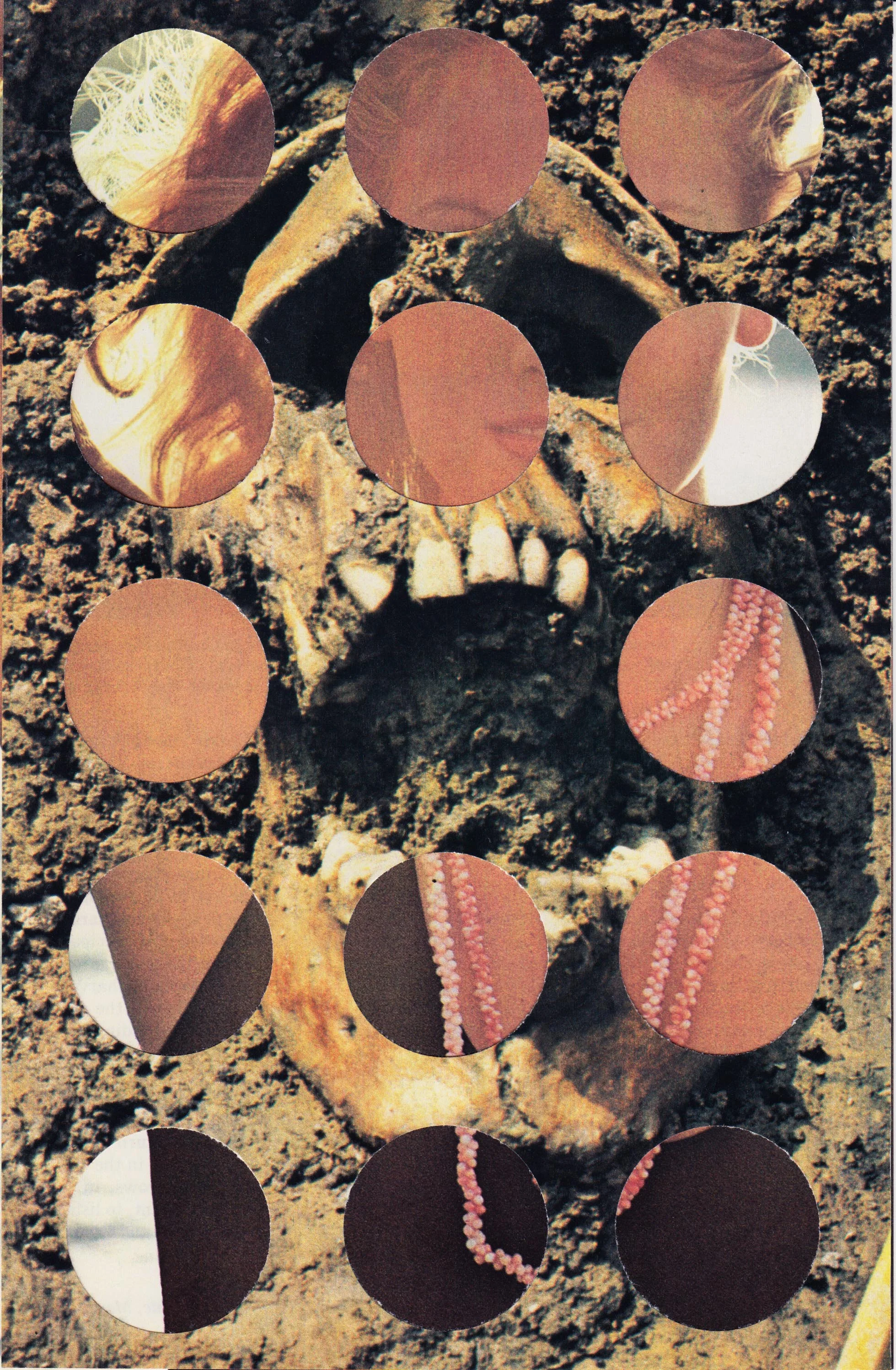 Randy Grskovic Dust to Dust collage art SMALL.jpg