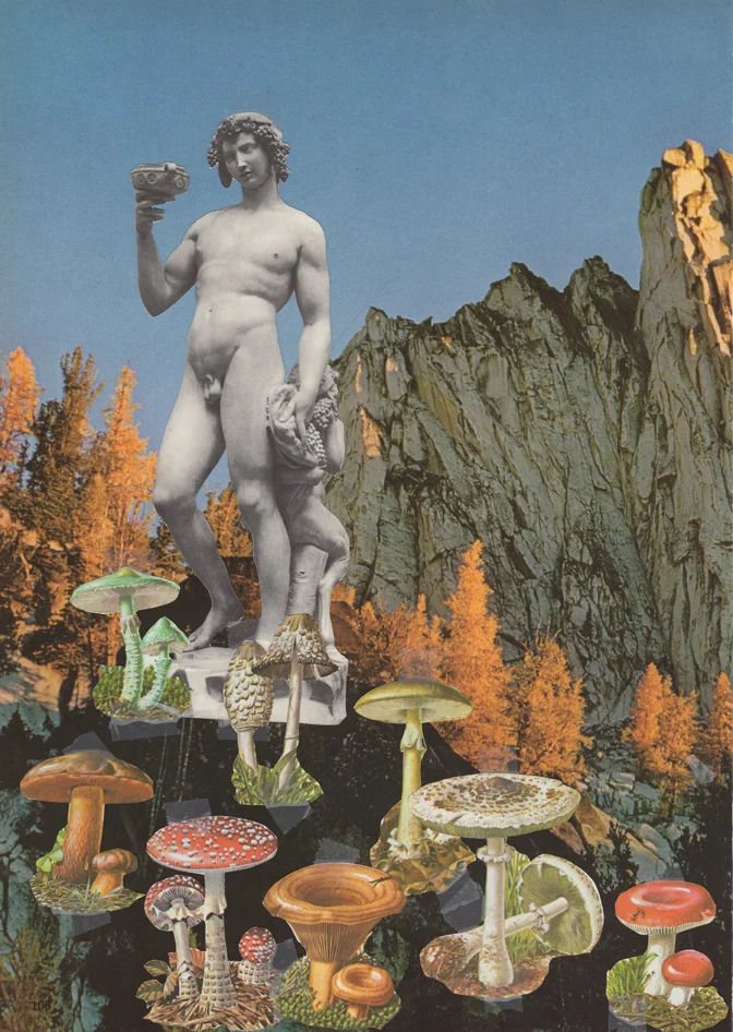 161. Mushrooms.jpg