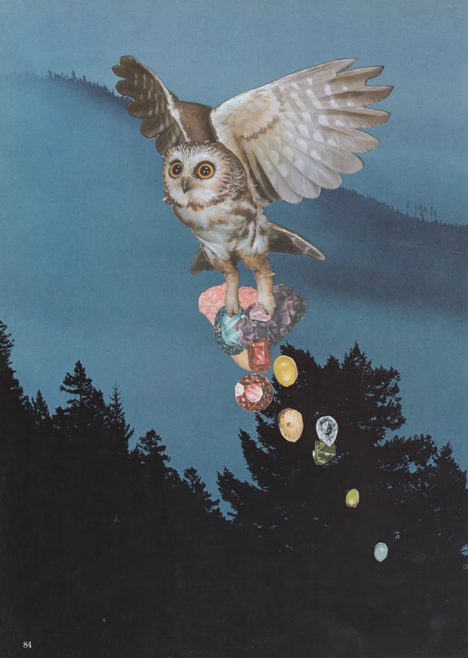 92. Owl drop.jpeg.jpg