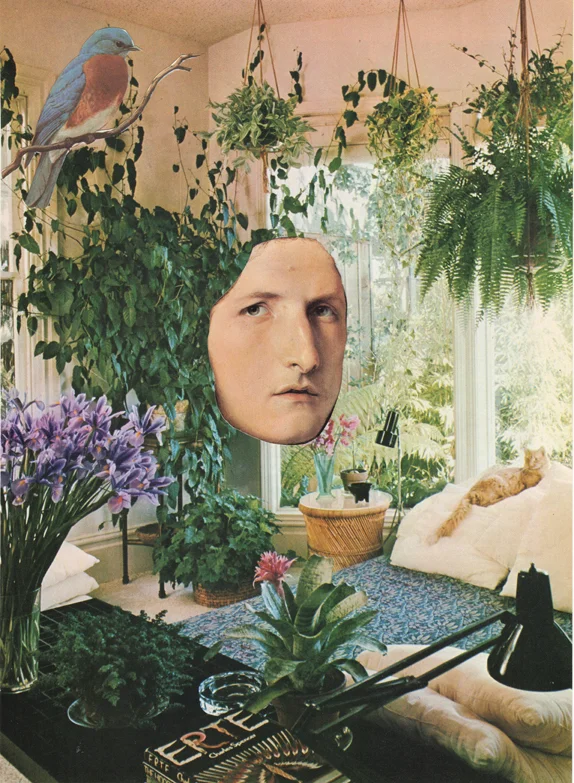 8. living room.jpeg.jpg