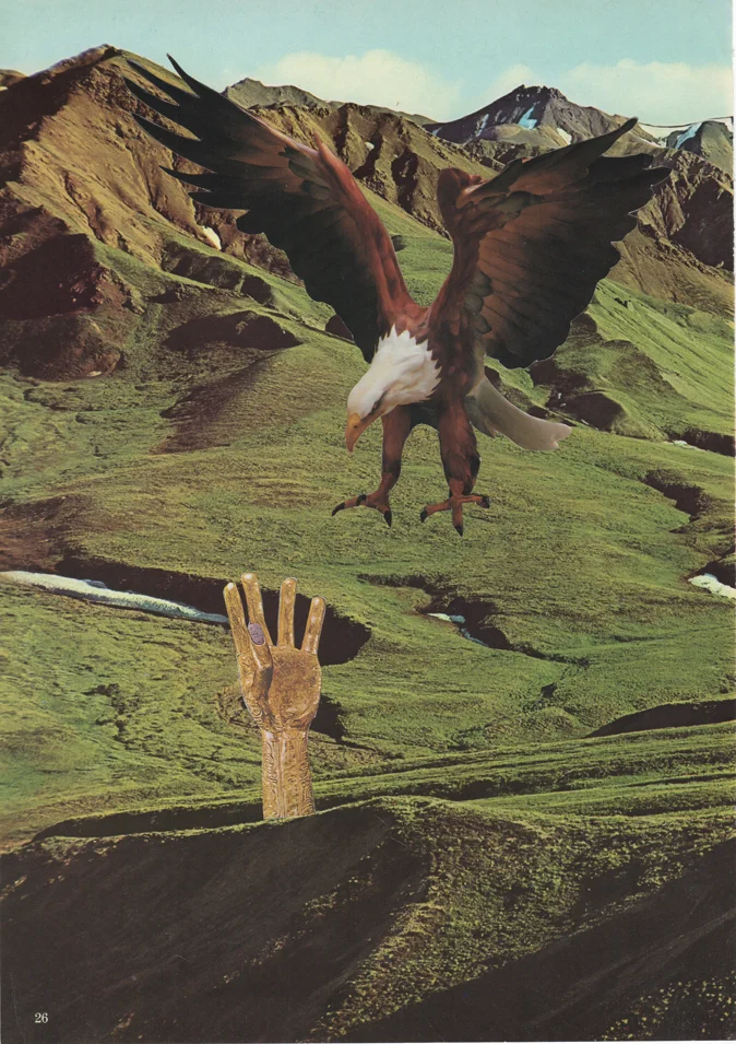 21. Eagle Hand.jpeg.jpg
