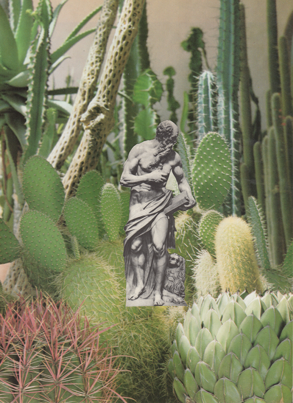 132. cacti.jpeg.jpg