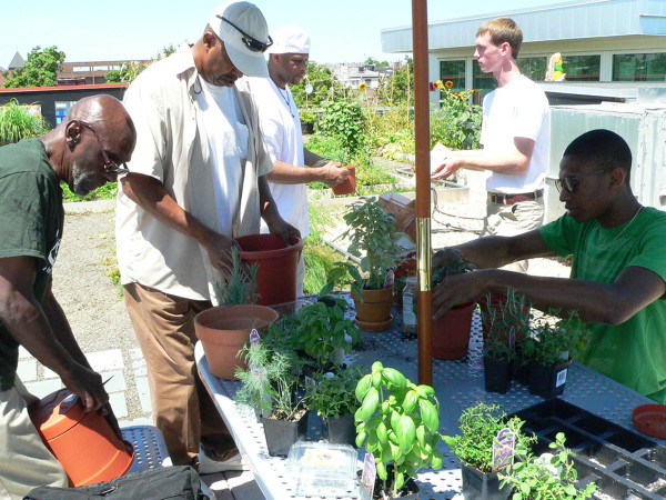 Volunteers and clients work on the rooftop garden located at the Northwest D.C. location.