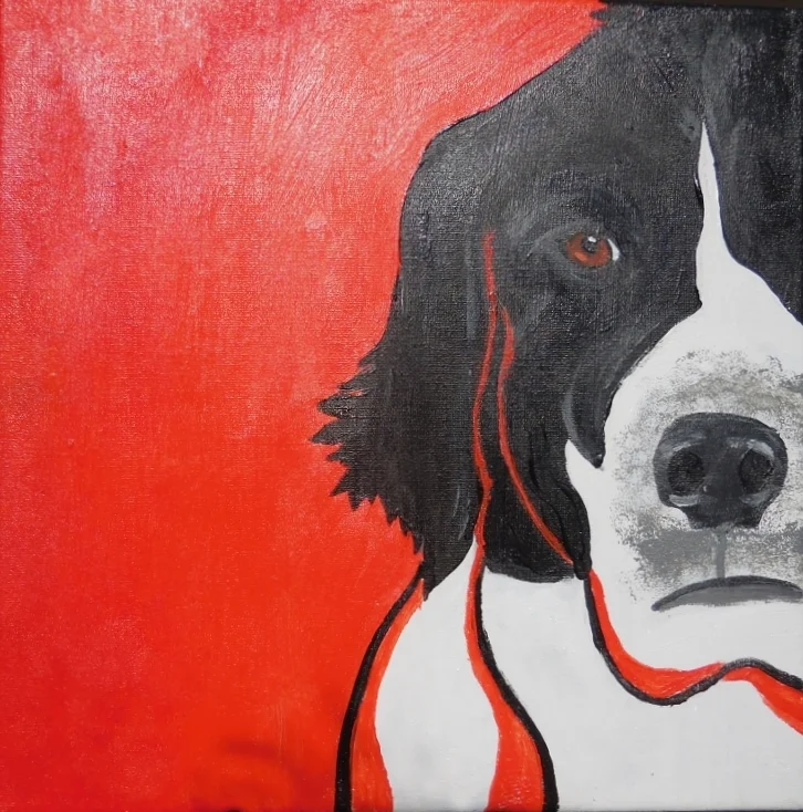 Oso in Red