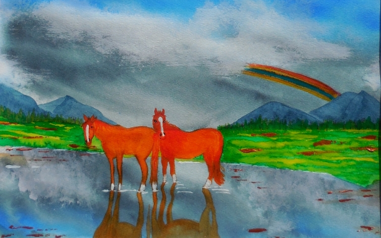 Reflections & Rainbows