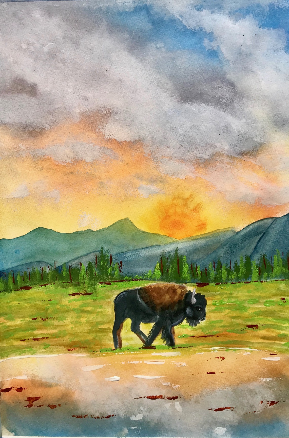 The Last Buffalo