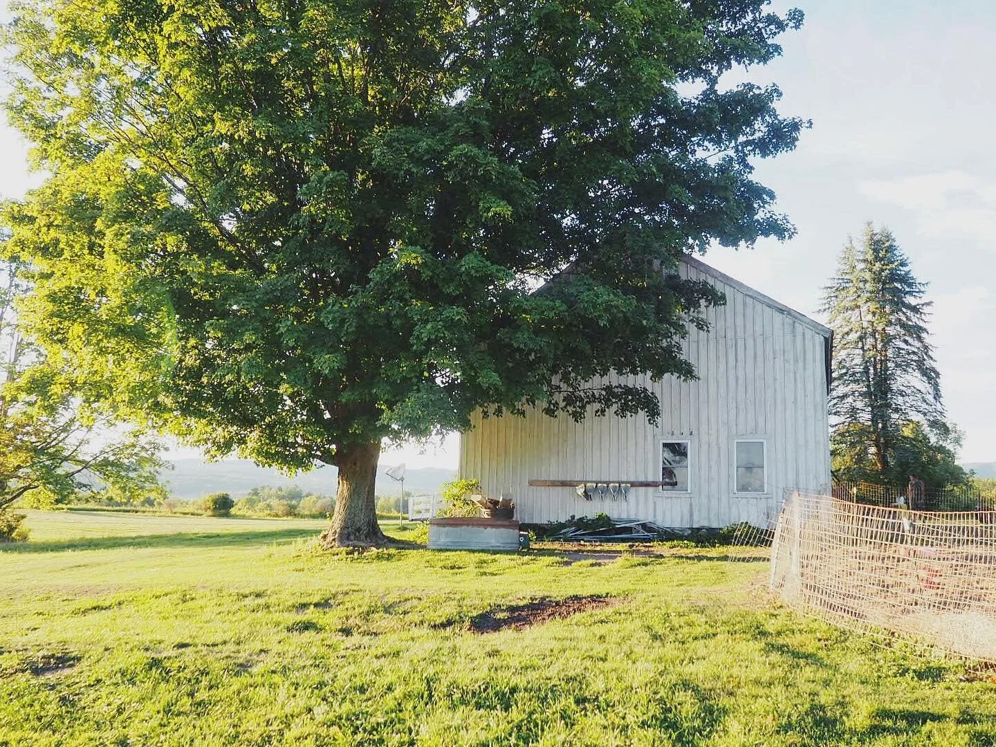 Every summer I try to escape here. I don&rsquo;t know why this area of the Green Mountains has grown a home in me.. but it feels like a familiar friend. Goodbye summer, every month was a year and I&rsquo;m tired now.