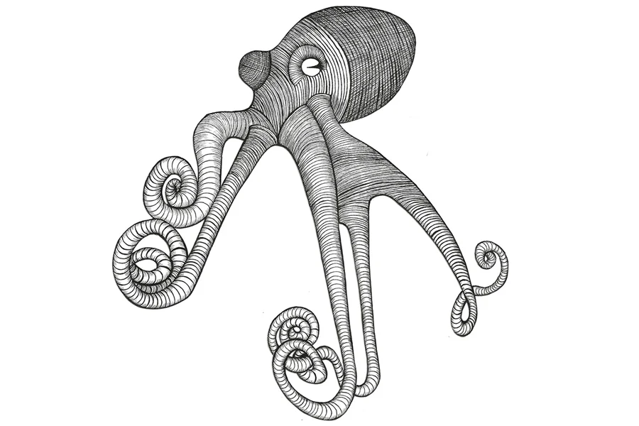 Octopus_web.jpg