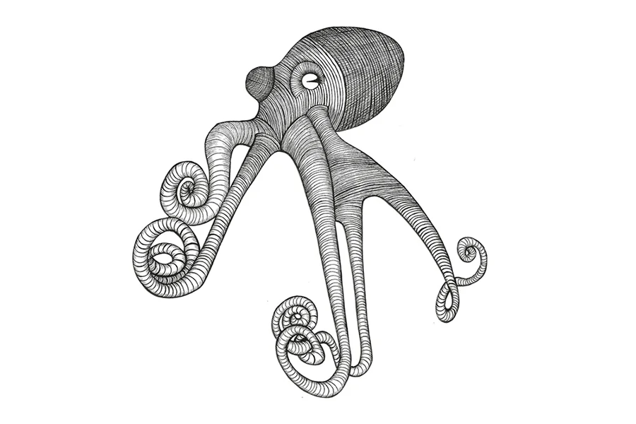 Octopus_web.jpg