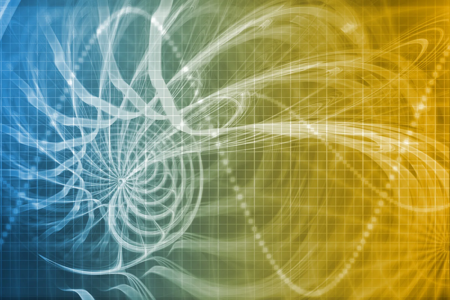 The Kaio Team — Kaio Therapy