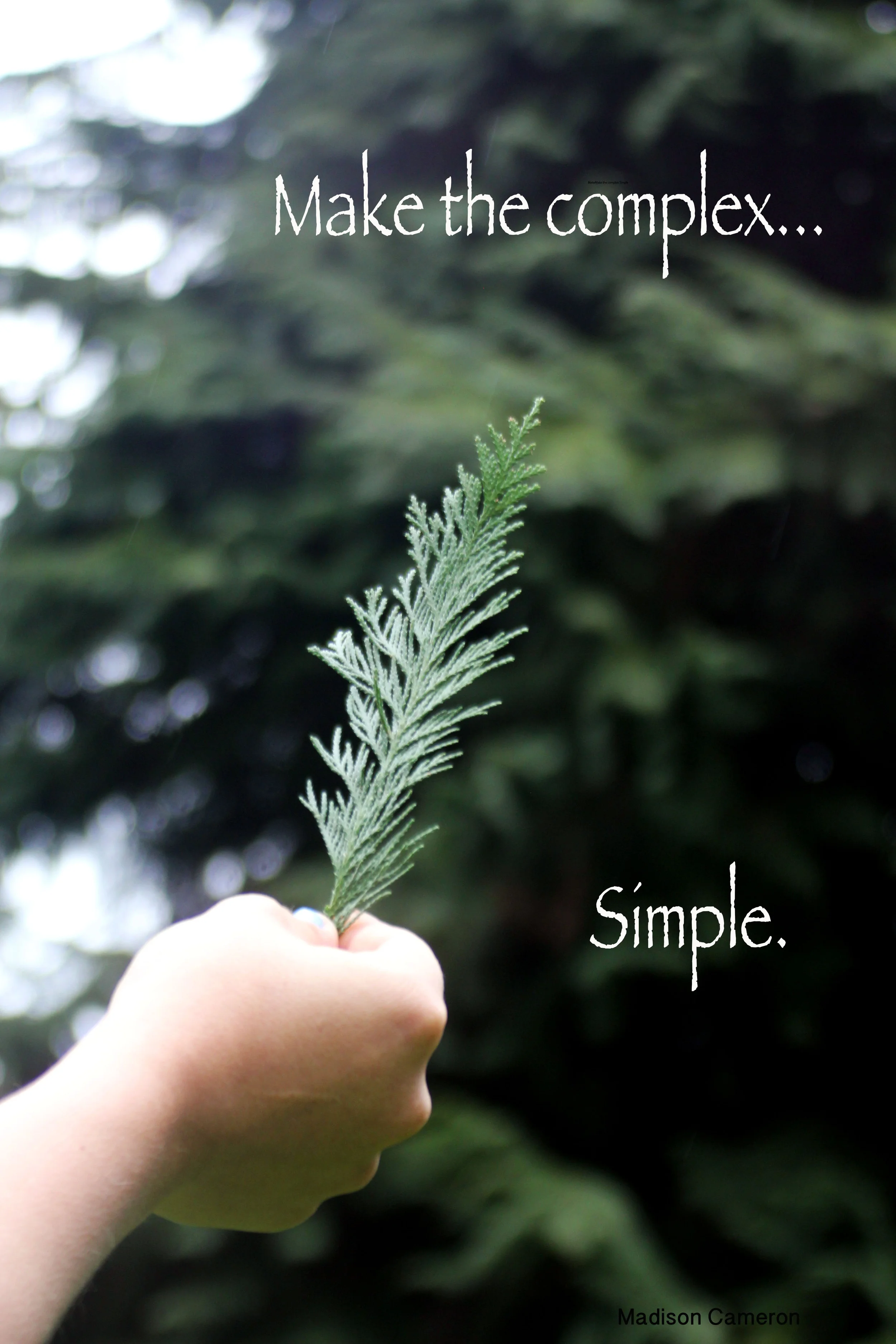 Promotional advertisement and interpretation of Instrument's "Make the complex simple." Photography and design by Madison D. Cameron
