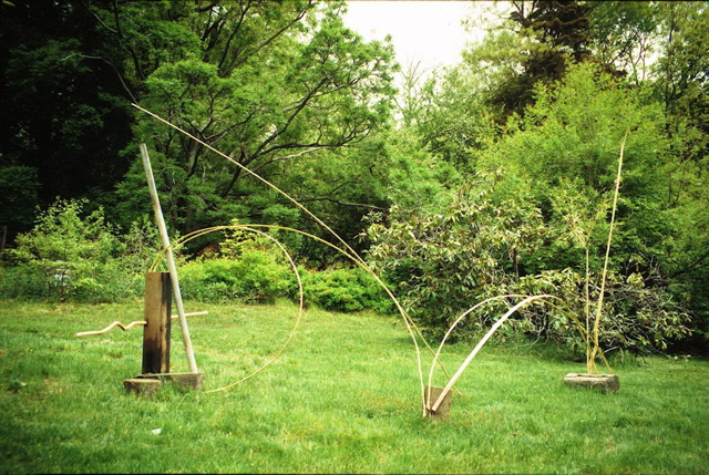 mb_bamboo.jpg