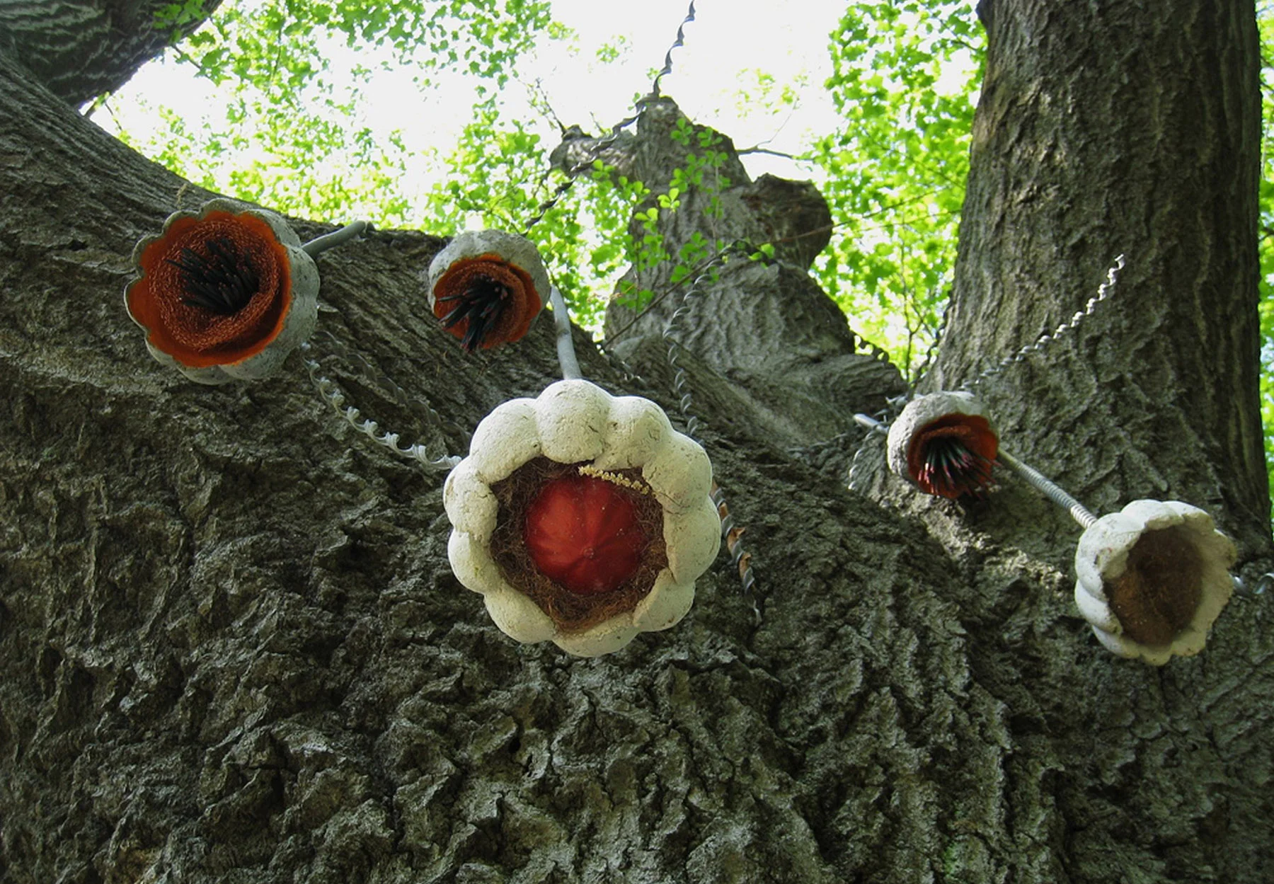 prehitoric invasive pods.jpg