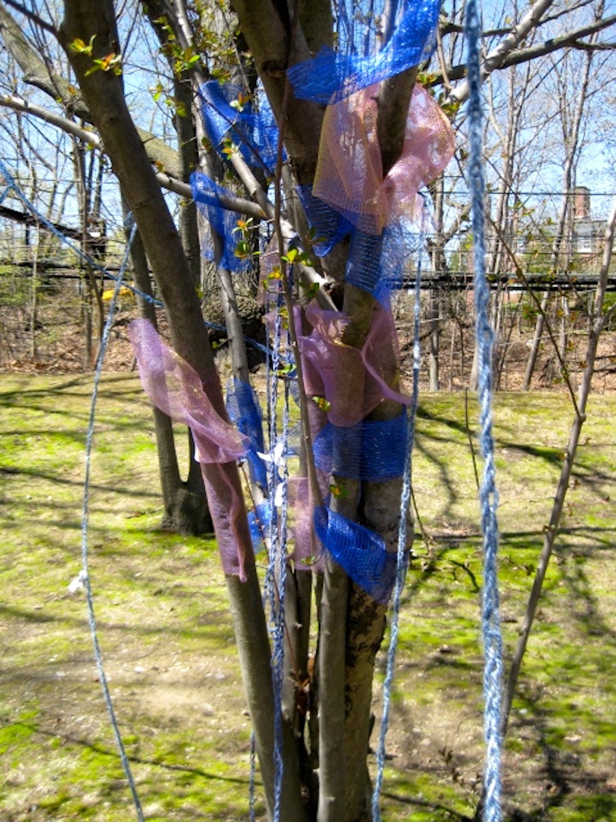 installationbrookline.jpg