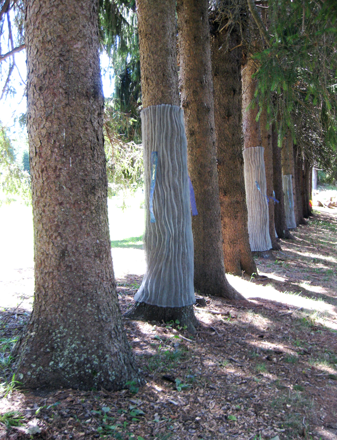 wrapped-trees-at-maudslay.jpg