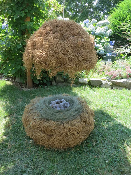 Nesting 1_Schmidt 2012.jpg