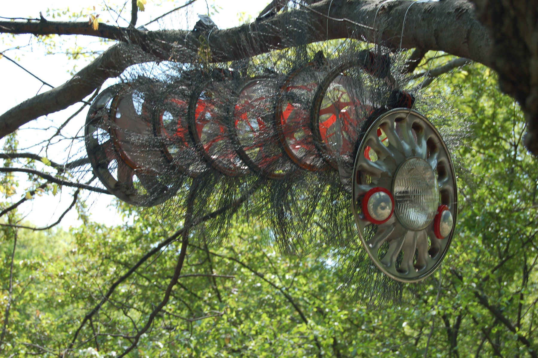 caterpillar.jpg