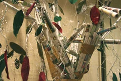 November: Barbara Vogelsang