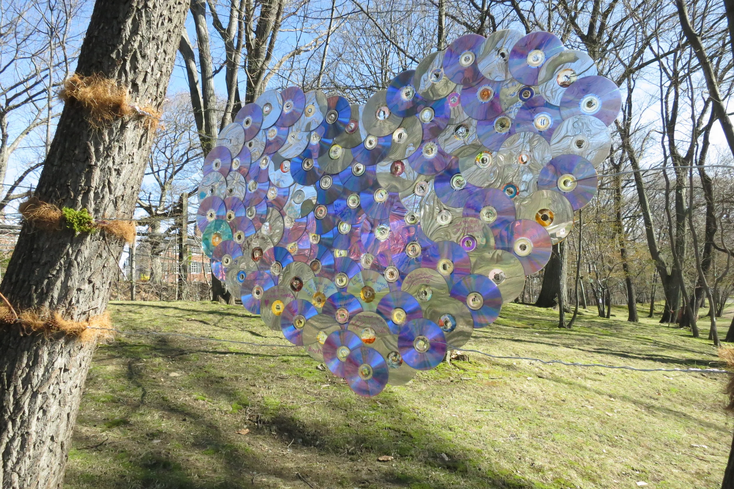 Marina Strauss & Sophie Glickson Cahen