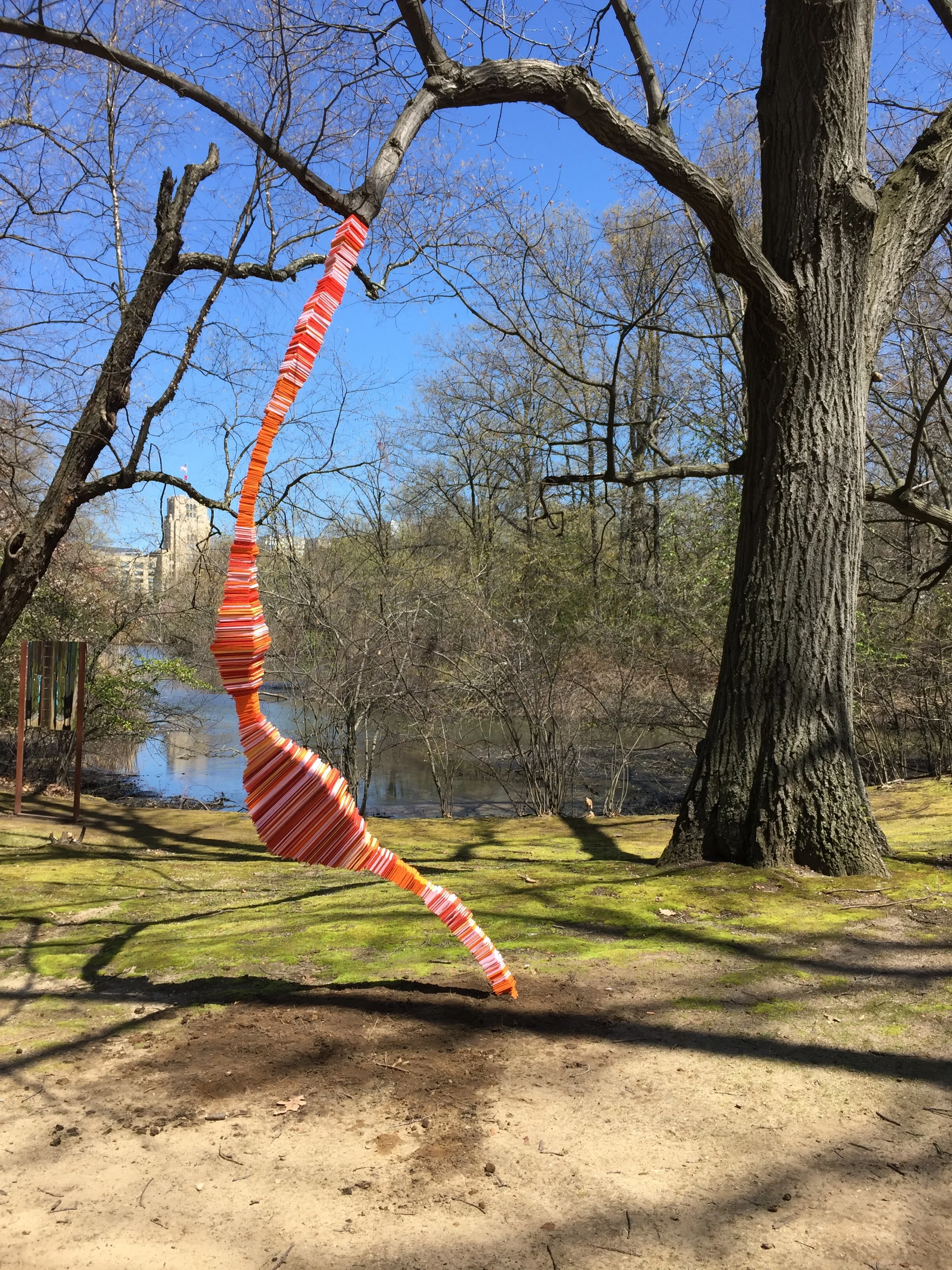 Tree to Ground