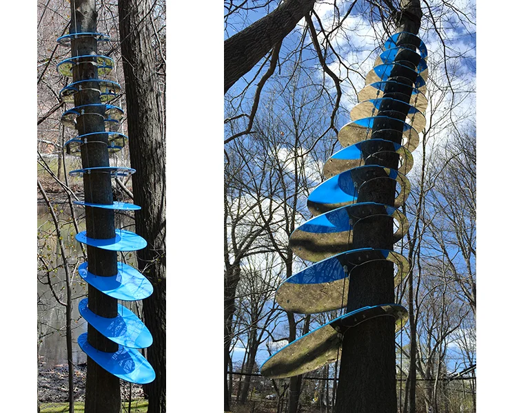 Sky Necklace
