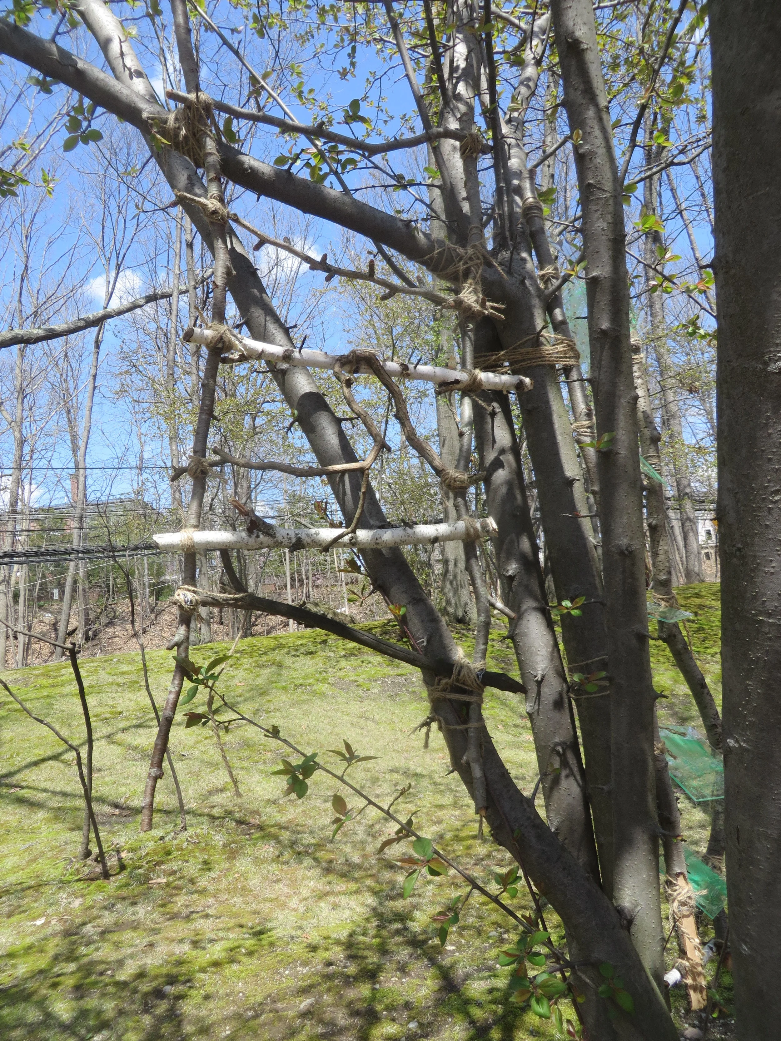 Myrna Balk “Despair and Resilience”