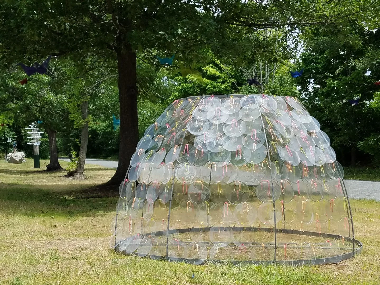 Maria Ritz "Left Out to Dry"