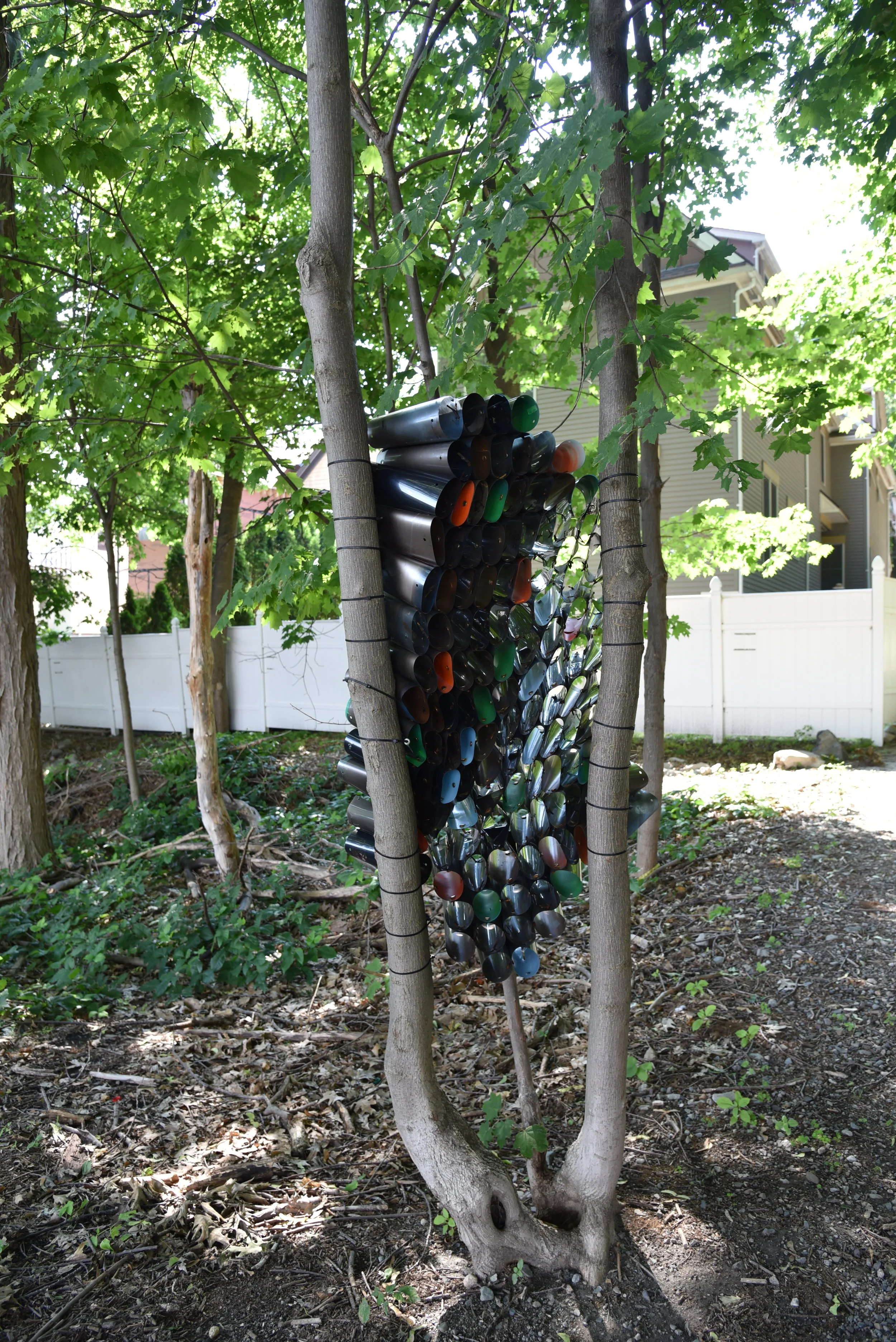 Bette Ann Libby “No Limits”