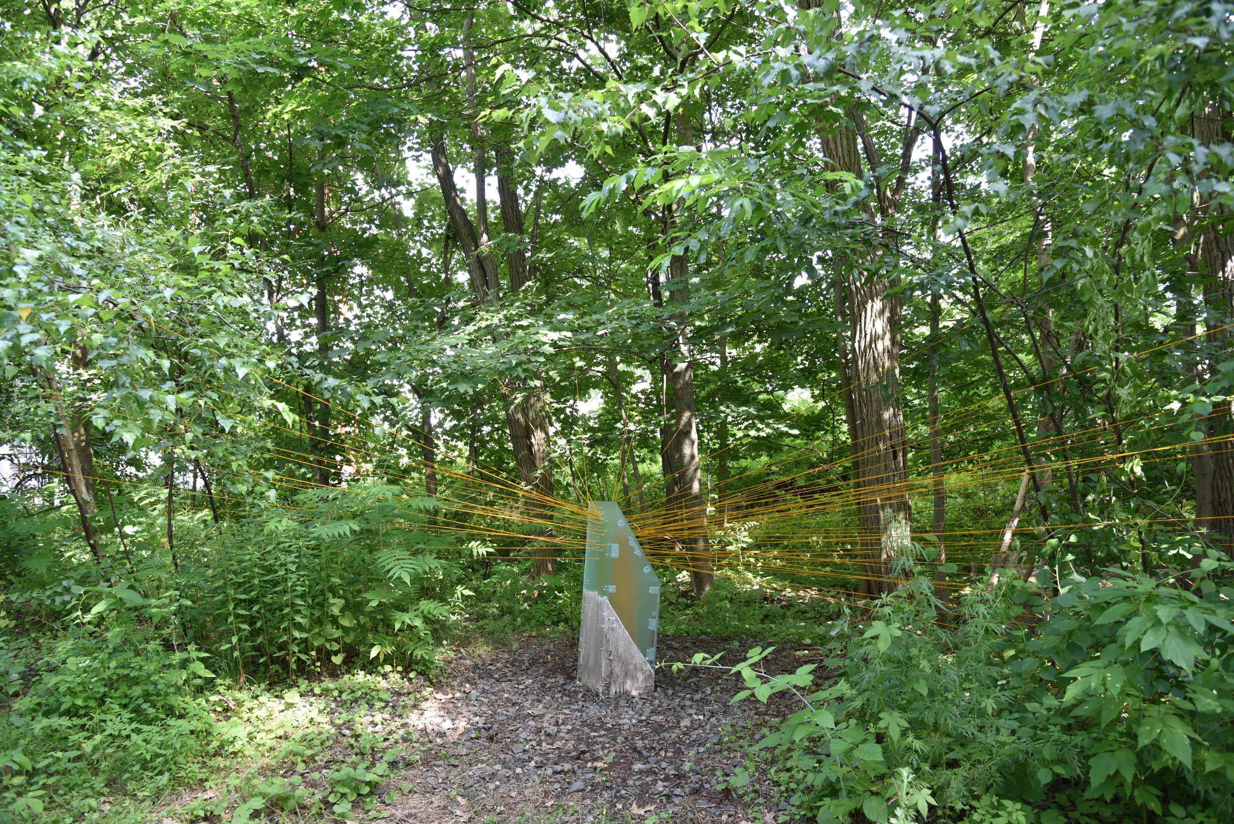 Freedom Baird “Node Hissed”