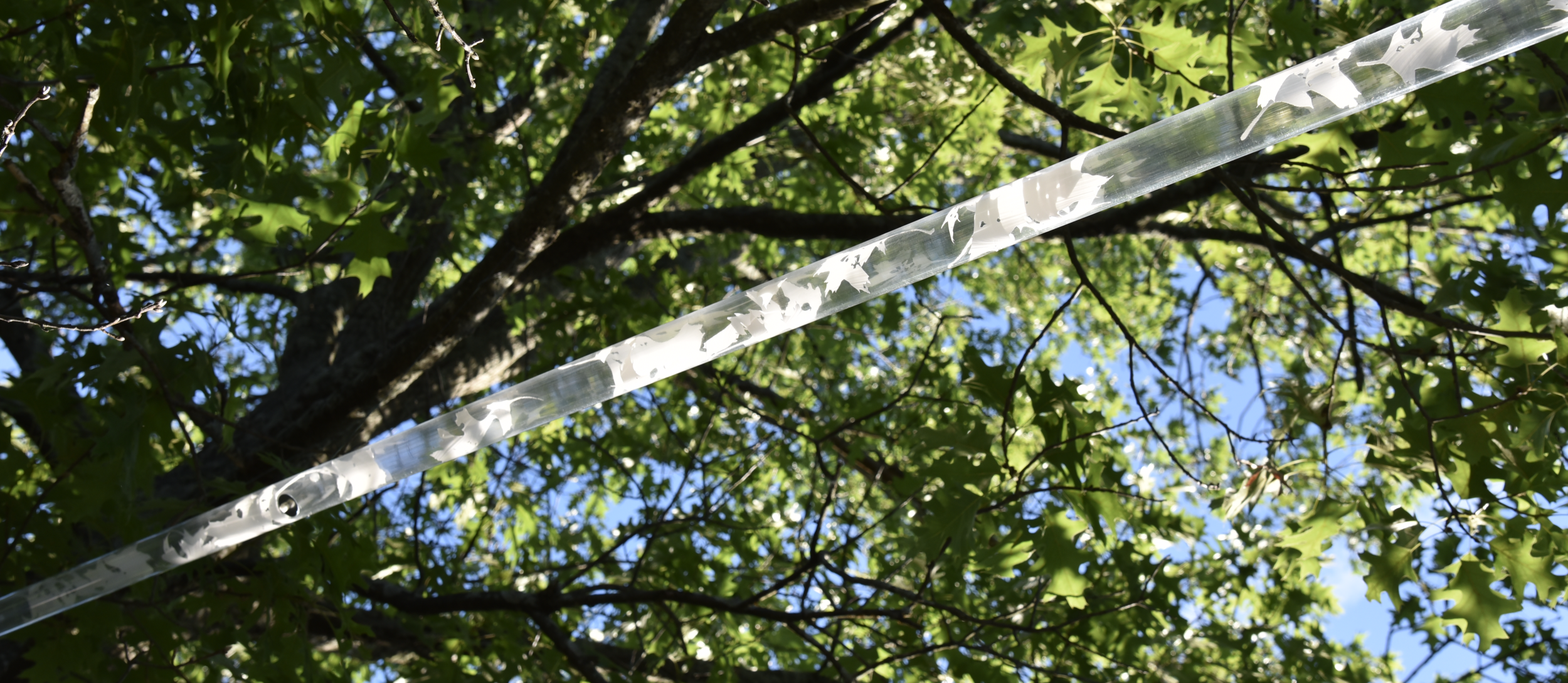 Maria Ritz &amp; Wendy Wolf “Echo Chamber”