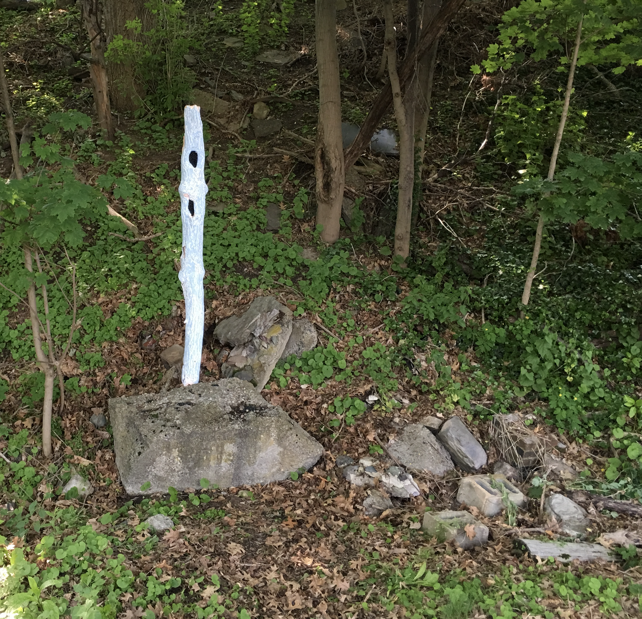 Freedom Baird “Graft”