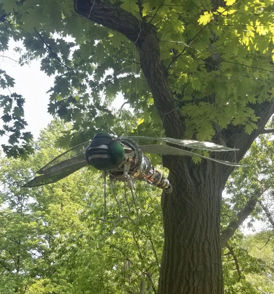 Barbara Fletcher: Lumen