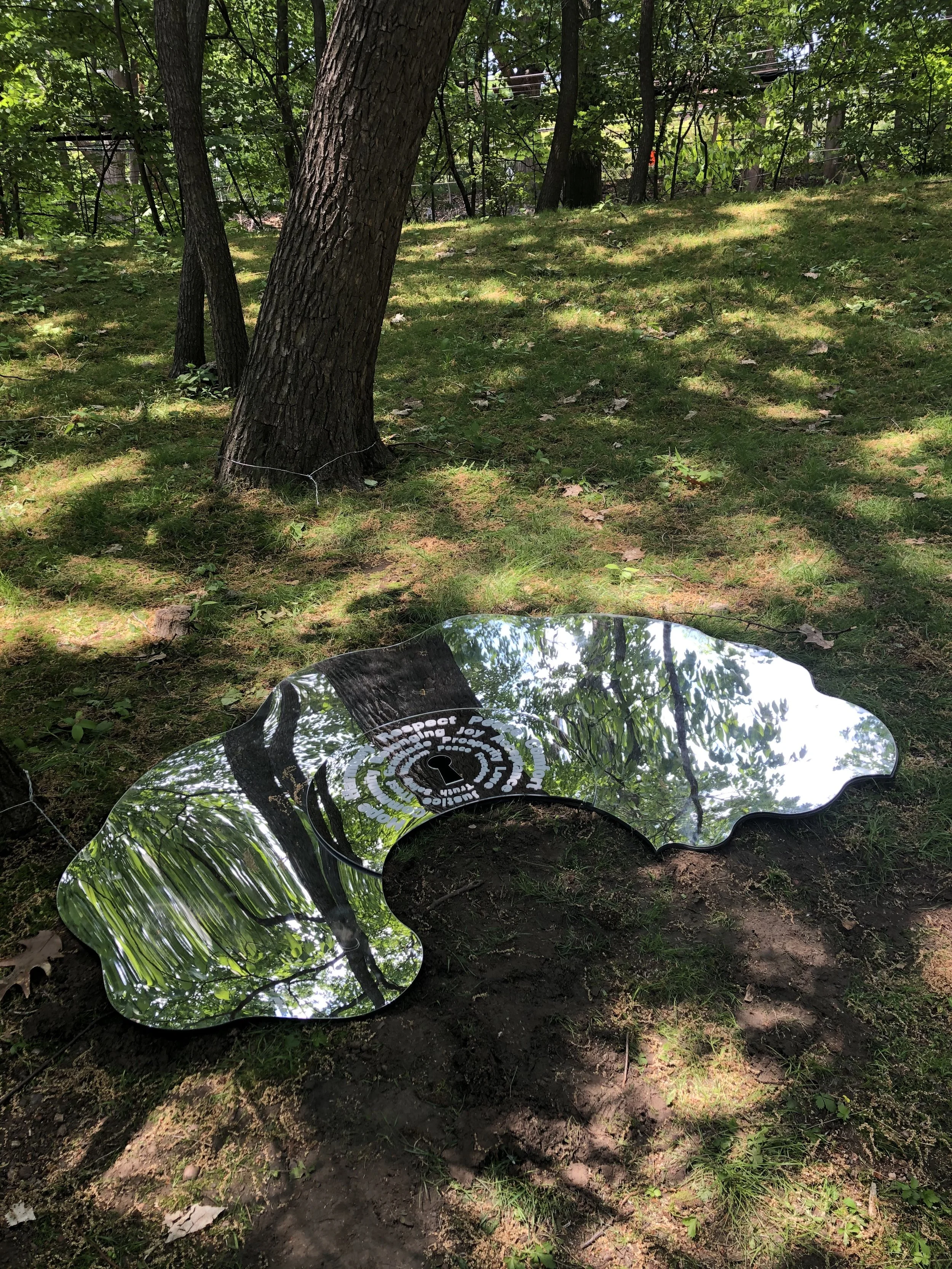 Jennifer Fuchel: How the Light Gets In